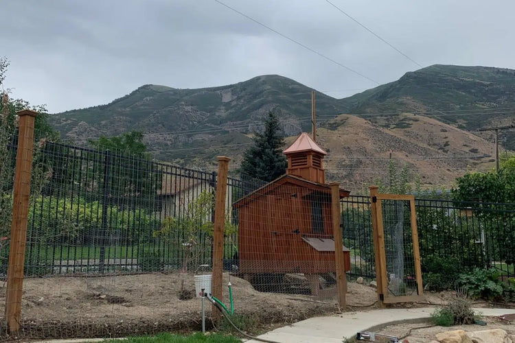 Matt’s Chicken Coop in Utah