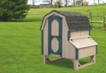 D44 Dutch Chicken Coop