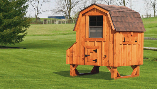 D44 Dutch Chicken Coop – 4'x4' Premium Amish-Built Home for 6-8 Chickens