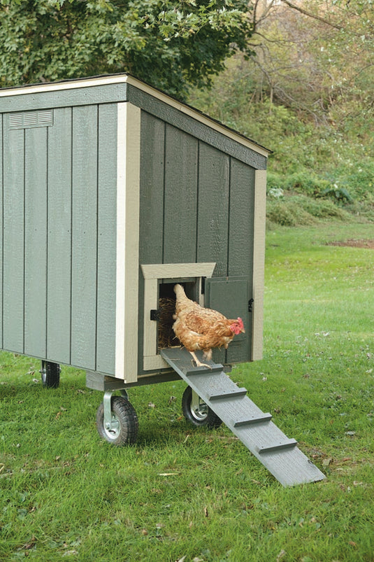 L35 Lean-To Chicken Coop – 3'x5' Premium Amish-Built Home for 4-6 Chickens