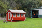 Q712 Quaker Chicken Coop