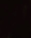 Roof: Black (Metal)