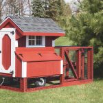 Chicken Run: Panels under Coop
