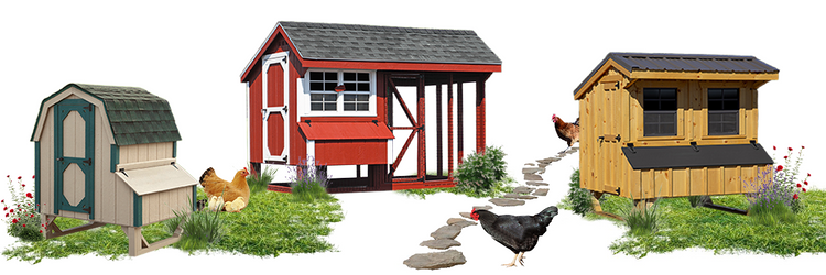Cluck & Coop